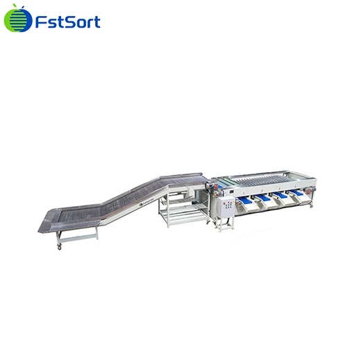 Fully Automatic Grading Packing Line For Limes Dates factory