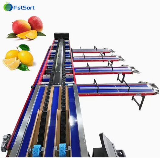 FstSort Automatic Mango Weight Processing Line suppliers