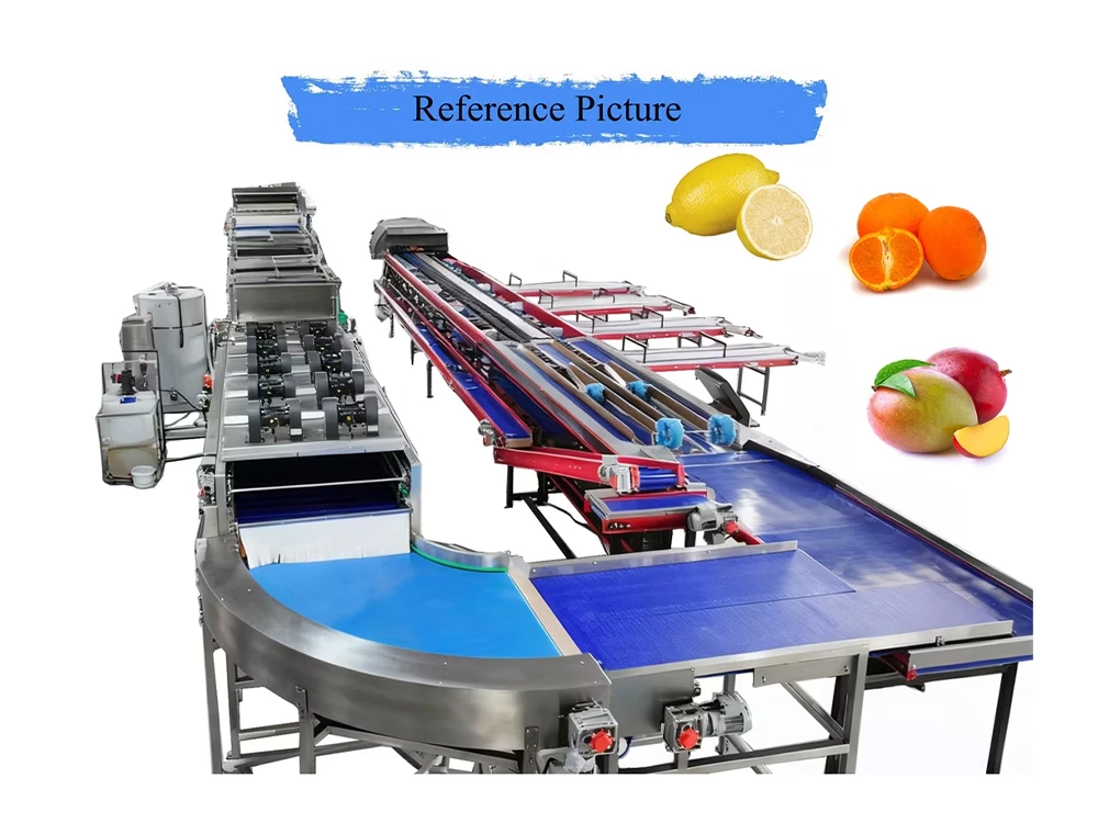 mango weighting grader