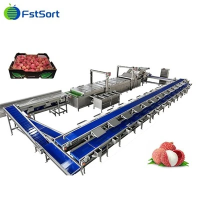 Meusén Peugleh Litchi .